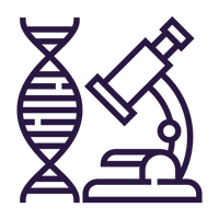 Clinically Researched Ingredients